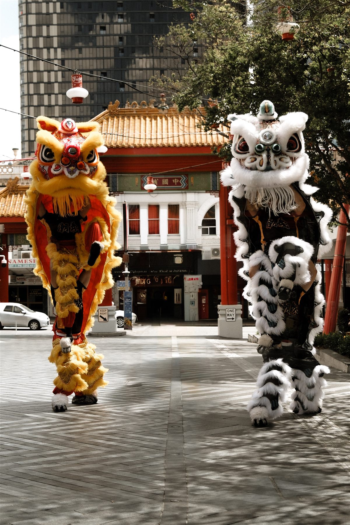Chao Yi lion dance performers on stilts in Brisbane Chinatown